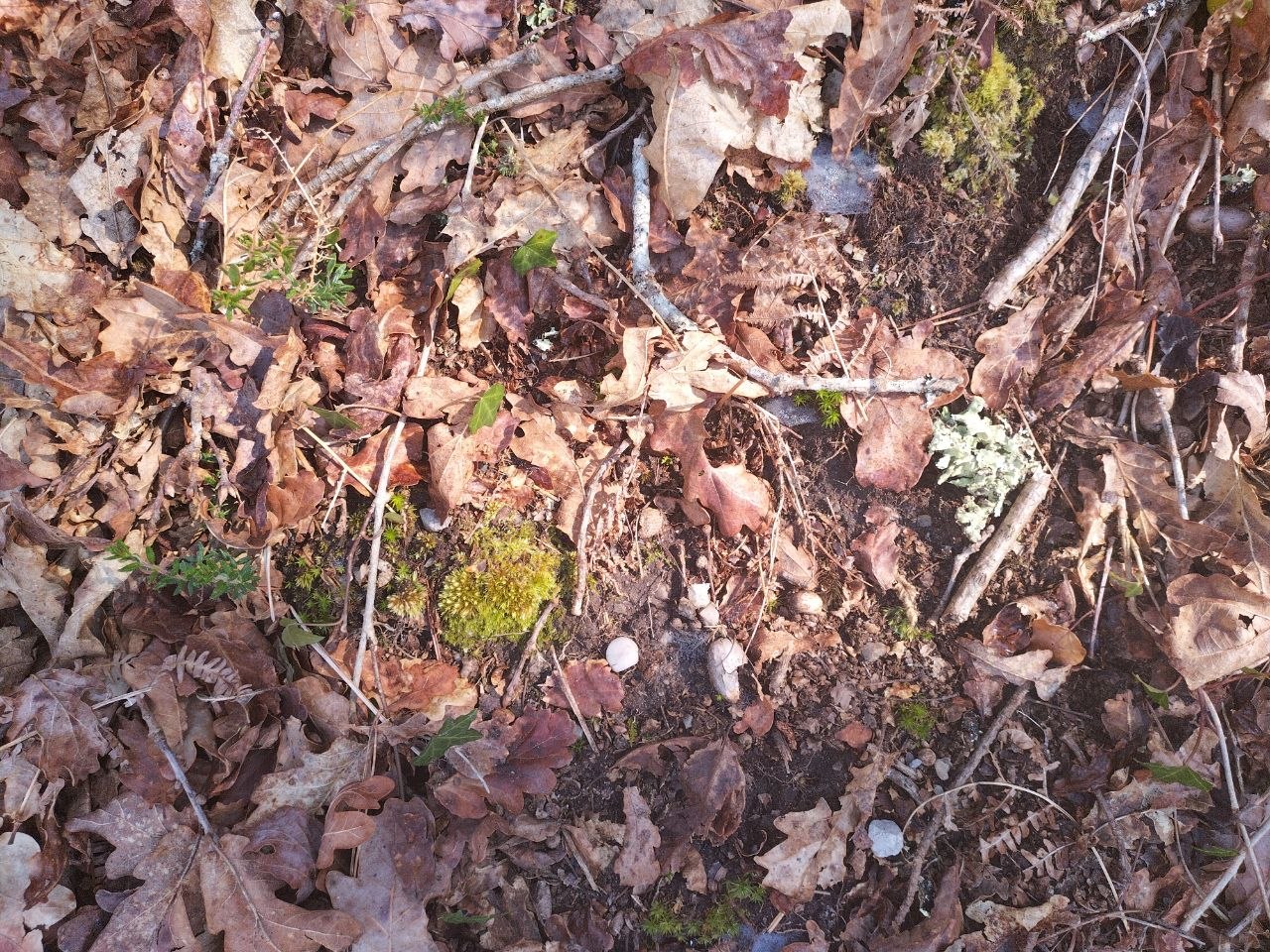 photo 2026 03 24 11 52 55 (2)