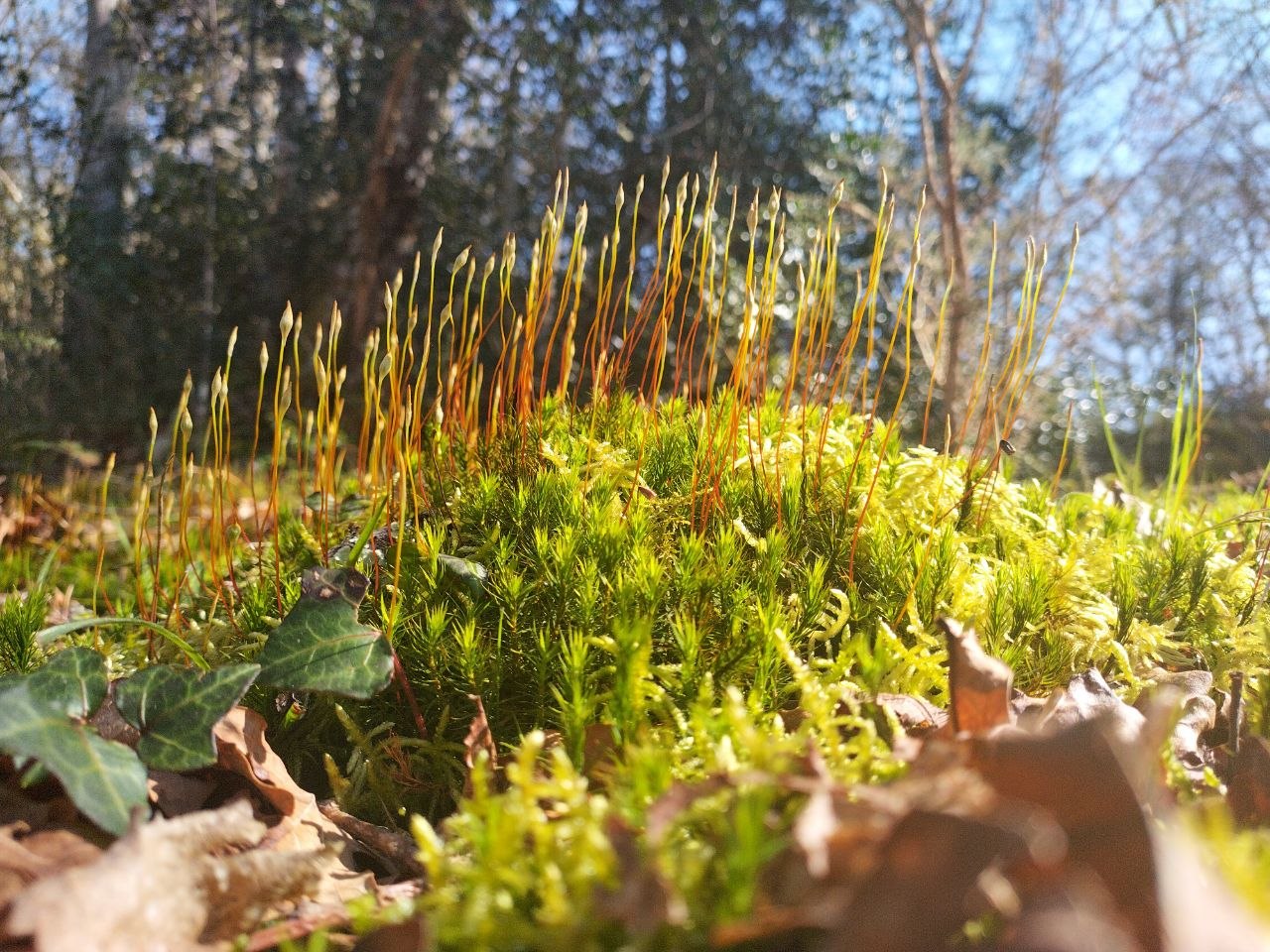 photo 2026 03 24 11 52 55